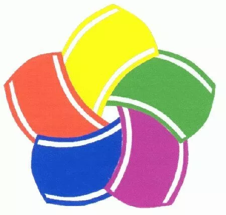 Шуйские ситцы