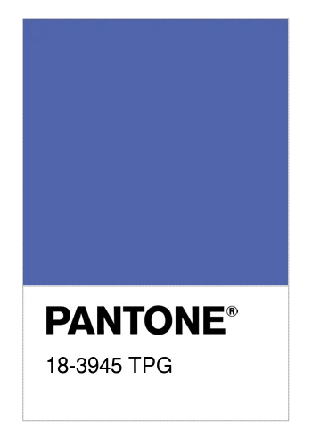 18-3945-TPG 18-3945-TPG