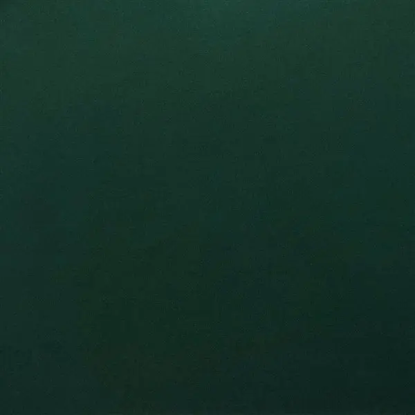 270955_2 270955_2