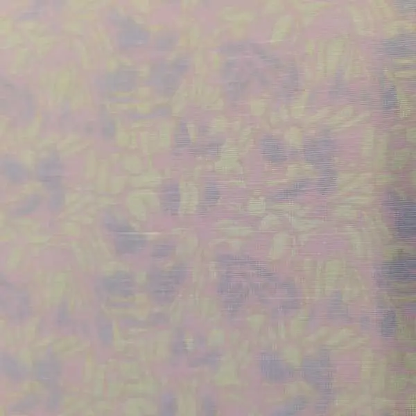 117067 117067
