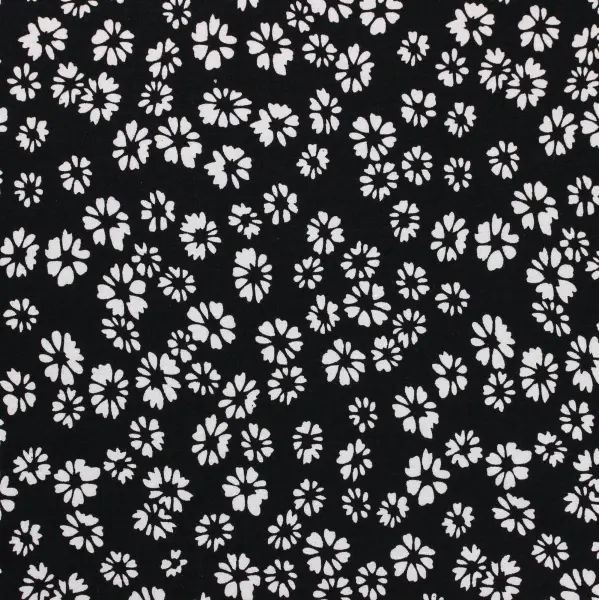 20240627-IMG_8121(1)