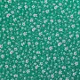 20240603-IMG_7679(1)_compressed
