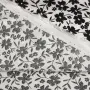 20240612-IMG_20240612_123730_compressed