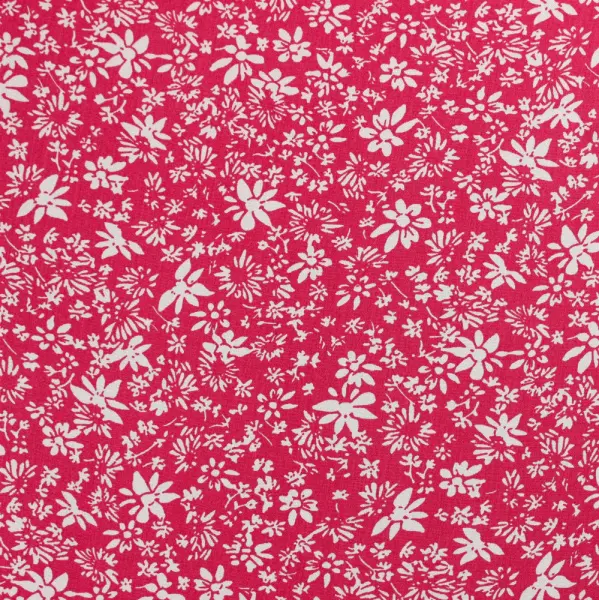 20240619-IMG_7897(1)_compressed