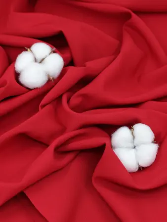 20250212-IMG_0348_compressed