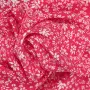 20240619-IMG_20240619_173545_compressed