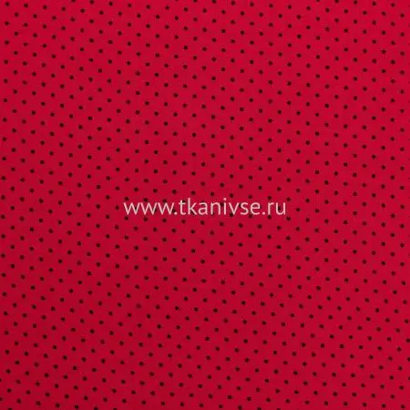 20240624-IMG_7980(1)
