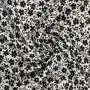 20240612-IMG_20240612_123730_compressed