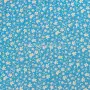 20240603-IMG_7650(1)_compressed