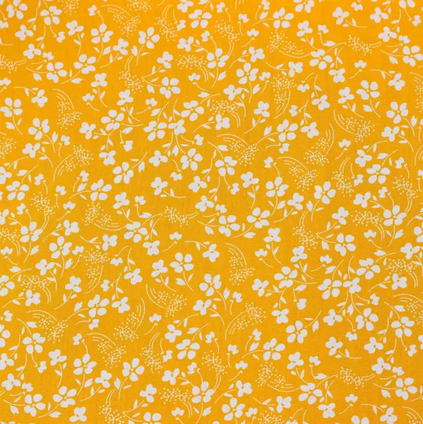 20240424-IMG_7100(1)_compressed