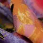 20240617-IMG_7865(1)_compressed