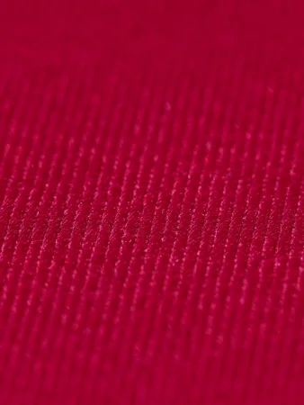 Лучшие цены на ткань Форвард 240   Бордовый  в интернет-магазине ТКАНИ ВСЕ