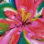20240411-IMG_6834(1)_compressed
