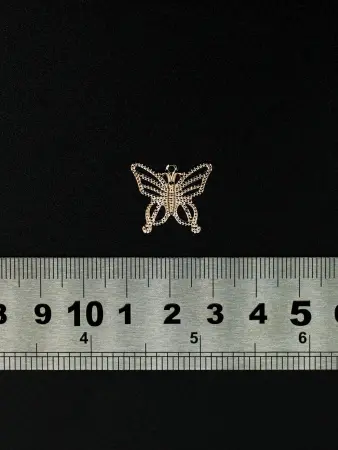 221480 (1)