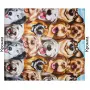photoeditorsdk-export_compressed