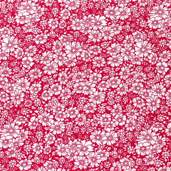 20240408-IMG_6655(1)_compressed