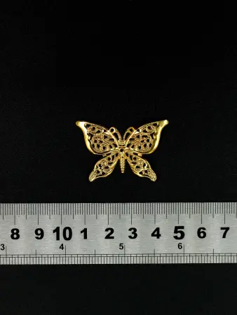 221492 (1)