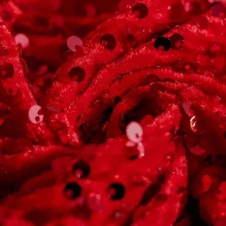 photoeditorsdk-export (7)_compressed