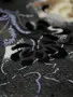 071388 (20)