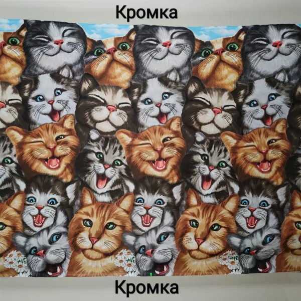 20240216-IMG_20240216_172831_compressed