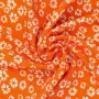 20240627-IMG_8099(1)