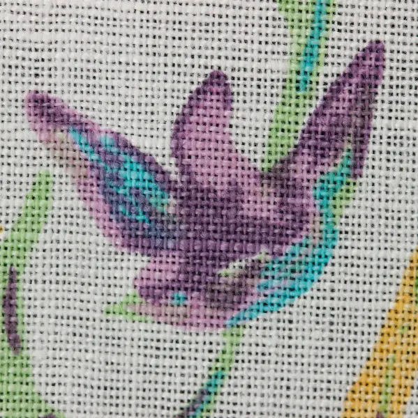 20240703-IMG_8166(1)_compressed