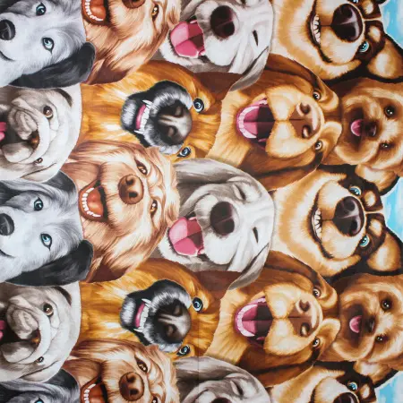 photoeditorsdk-export_compressed