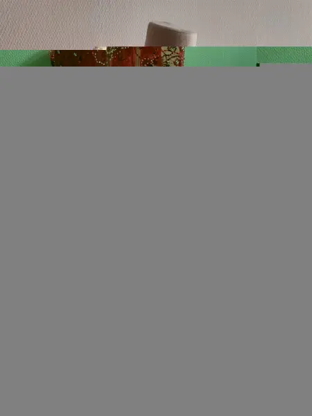 20231116-IMG_20231116_110847_compressed 20231116-IMG_20231116_110847_compressed