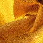 photoeditorsdk-export (7)_compressed