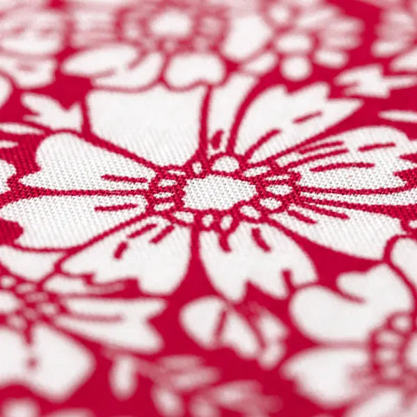 20240408-IMG_6658(1)_compressed