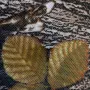 photoeditorsdk-export (5)_compressed
