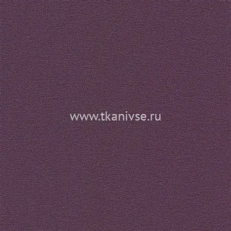 270126