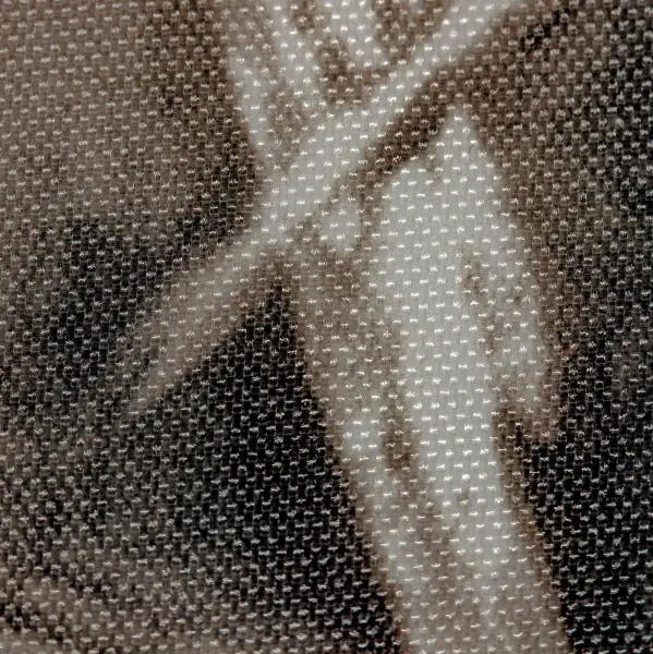 20230615-IMG_0991(1)_compressed