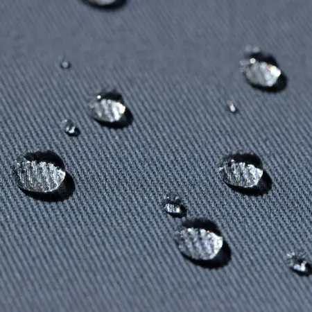 photoeditorsdk-export (1)_compressed