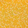 20240424-IMG_7107(1)_compressed
