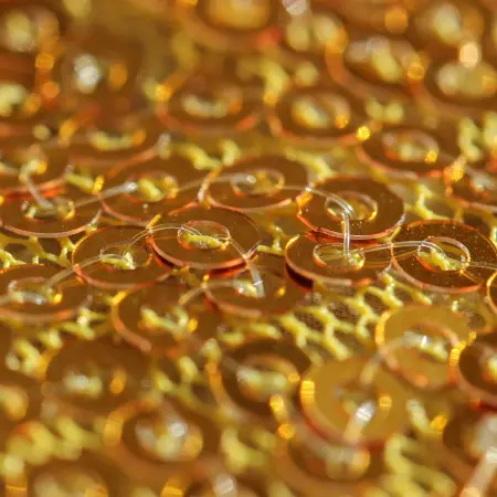 photoeditorsdk-export (6)_сompressed