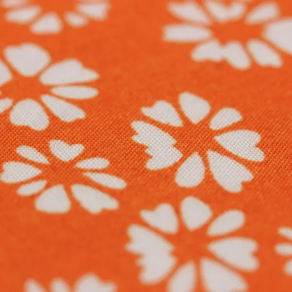 20240627-IMG_8094(1)