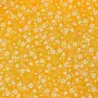 20240424-IMG_7107(1)_compressed