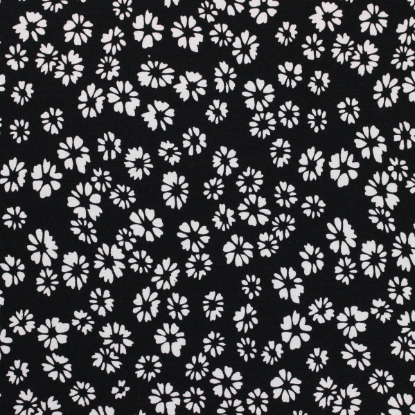 20240627-IMG_8121(1)