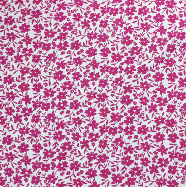 20240611-IMG_7780(1)_compressed