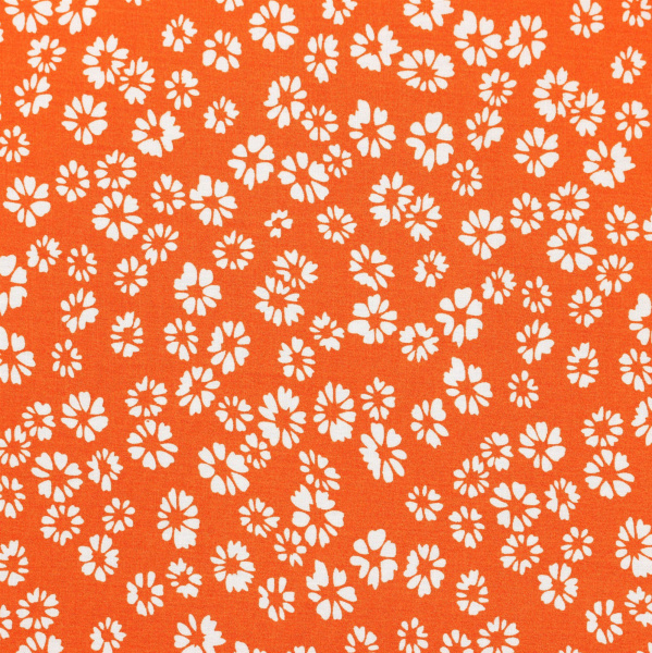 20240627-IMG_8092(1)