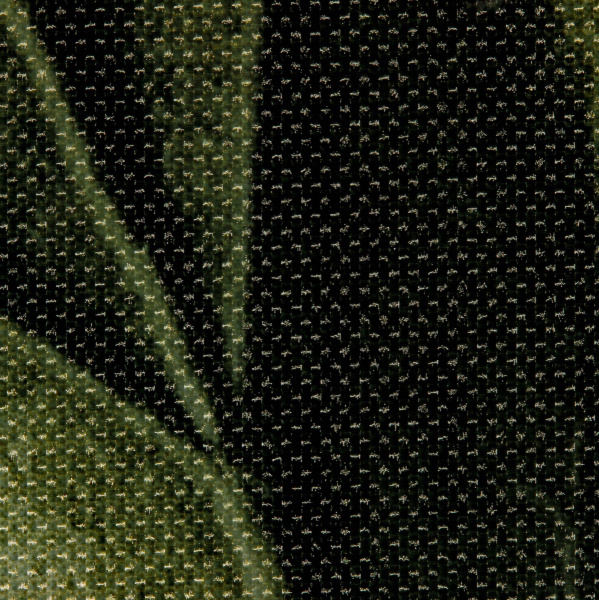 20230615-IMG_0971(1)_compressed