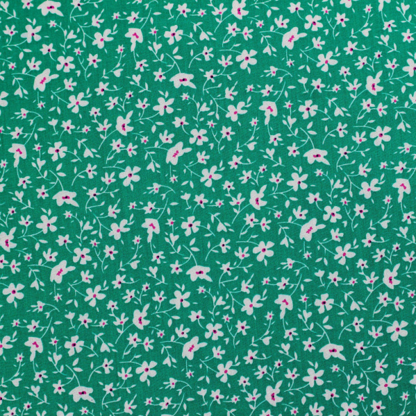 20240603-IMG_7672(1)_compressed