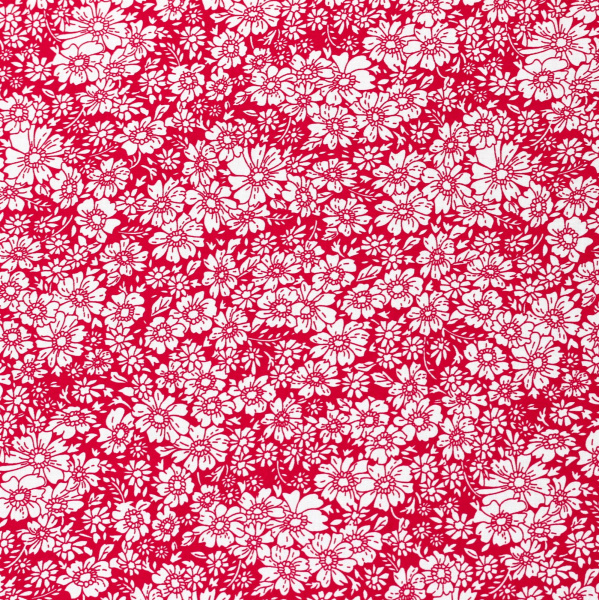 20240408-IMG_6655(1)_compressed