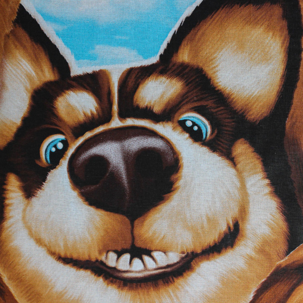 photoeditorsdk-export (1)_compressed