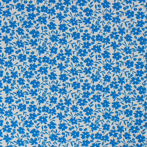 20240611-IMG_7800(1)_compressed