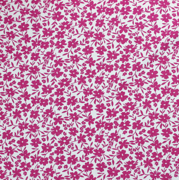 20240611-IMG_7780(1)_compressed