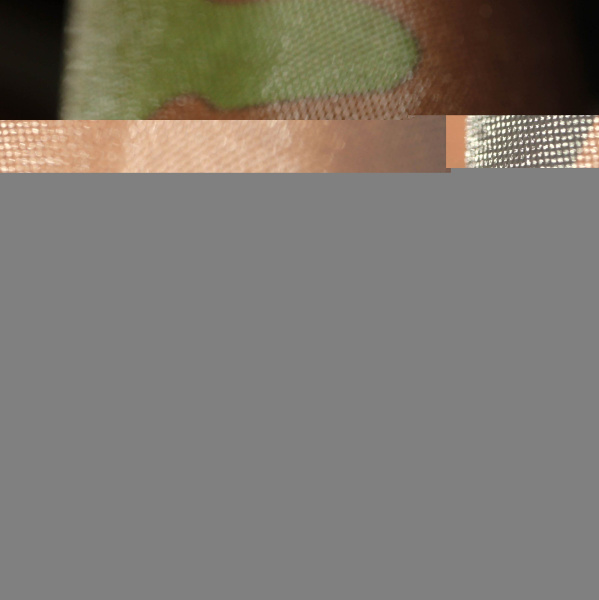 20230616-IMG_1098(1)_compressed