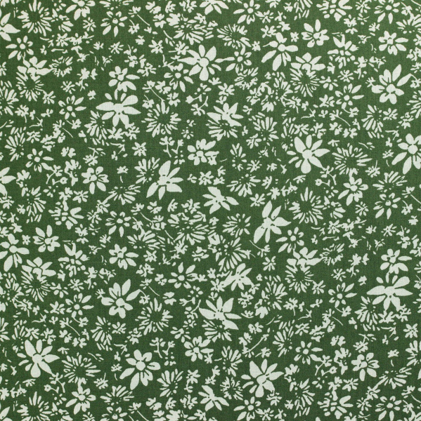 20240619-IMG_7936(1)_compressed