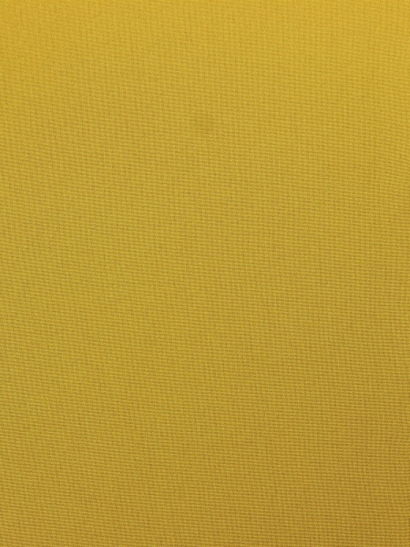 20240906-20240906-IMG_8589(1)